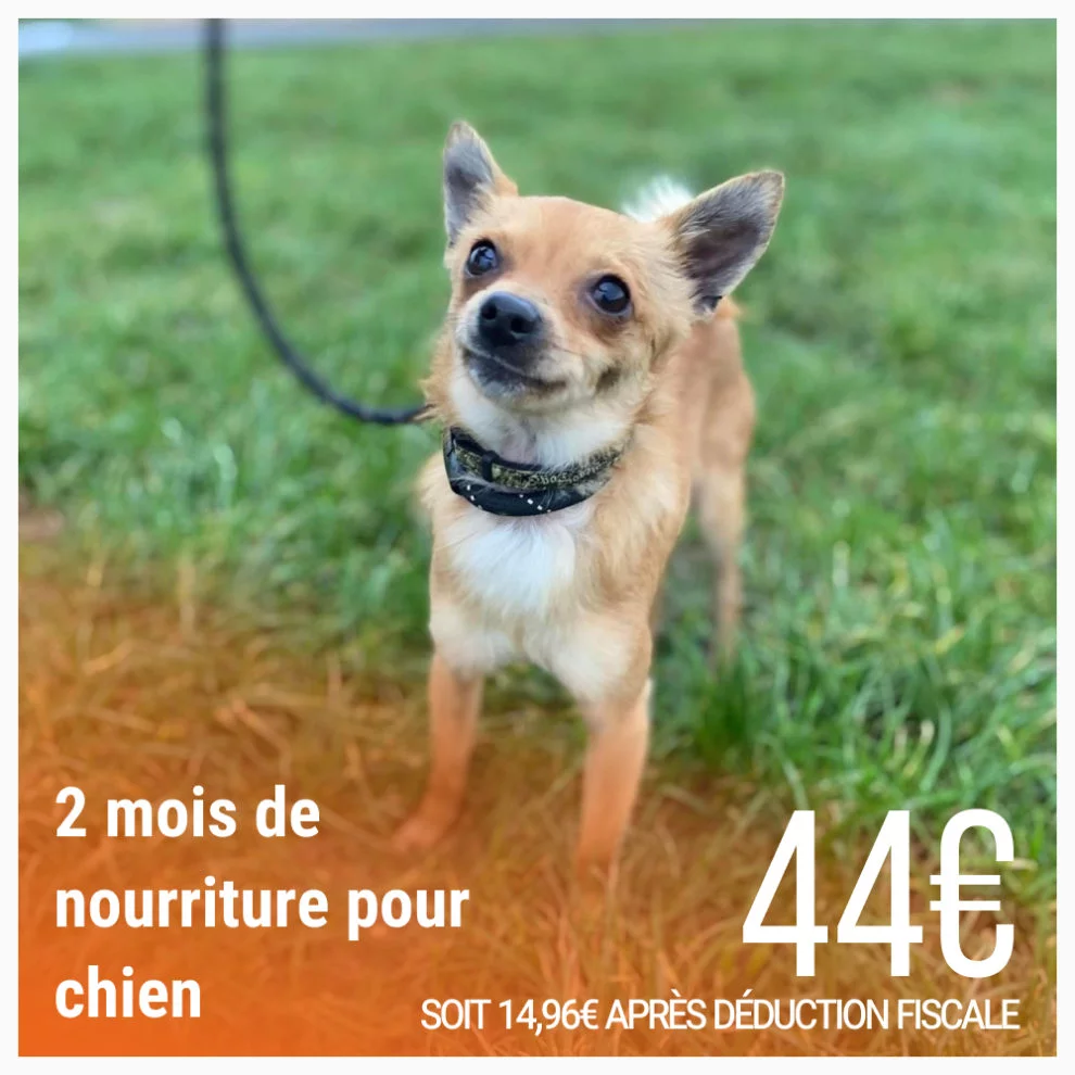 Couverture produit